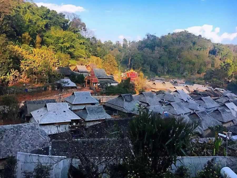 山野茶風(fēng)，游走景邁,景邁大寨最出名的古樹(shù)茶園