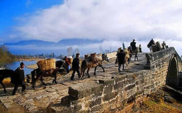 中國(guó)著名的古代茶馬古道有幾條？